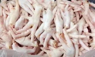 无缝鸡爪爆料视频大全集,揭秘幕后真相与精彩瞬间  第3张