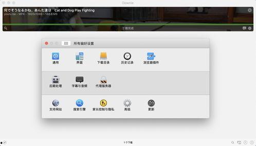 平板新款爆料视频下载软件,新款爆料视频下载软件深度解析 第1张 平板新款爆料视频下载软件,新款爆料视频下载软件深度解析 第1张