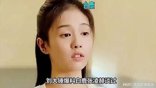 刘大锤爆料娱乐圈小说,娱乐圈幕后风云录  第3张