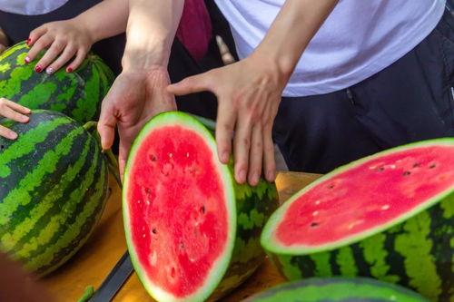 免费的超大尺度吃瓜群,揭秘娱乐圈幕后真相  第1张