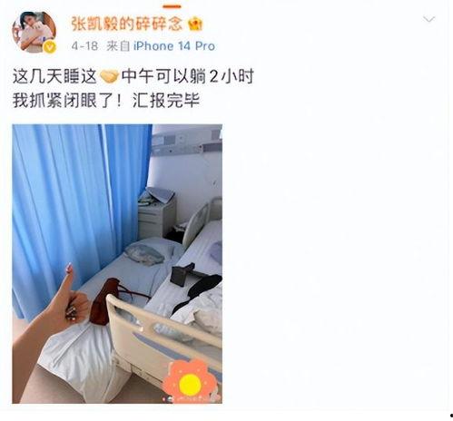 张凯毅男友爆料了吗视频  第1张
