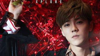 硕哥明星爆料视频大全,明星幕后故事大揭秘  第3张